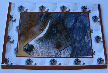 Australain Shepherd Dog Portrait Background by Redonda Haddock