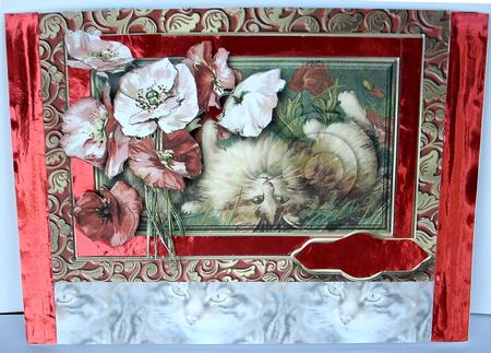 Tabby Cat Portrait Background by Redonda Haddock