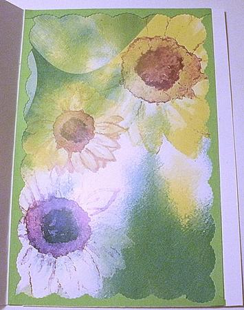 Gerbera Daisy Backing Paper by Redonda Haddock