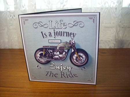 Enjoy The Ride! by Rhonda Brown