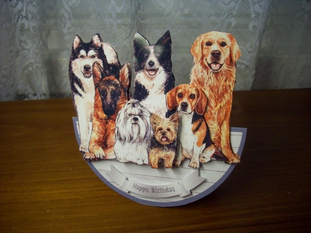 CRAZY ABOUT DOGS! rocker card Featured Gallery Photo