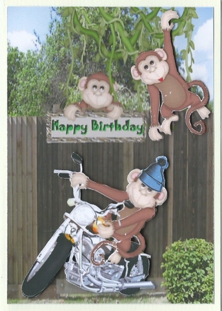 Monkeying Around by Rhonda Young