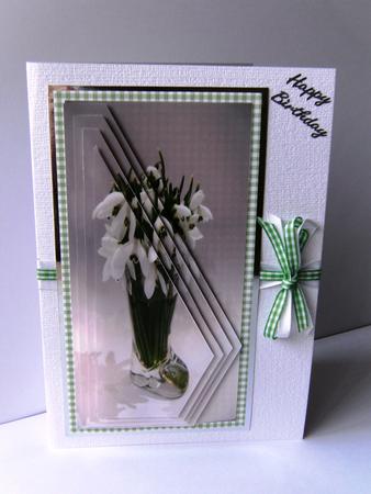 Snowdrops for Early New Year by Rita Curtis