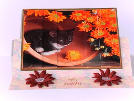 Kitten in a Plant Pot Surrounded by Orange Flowers Side Stacker by Rita Curtis
