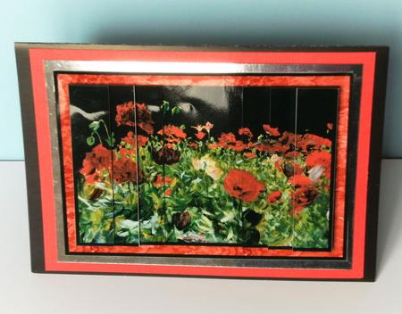 Field of Poppies Side Stacker by Rita Curtis