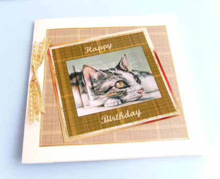 The Cats Whiskers by Rita Curtis