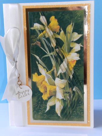 Daffodils Growing for Spring by Rita Curtis