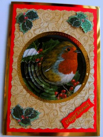 Robin by Rita Curtis