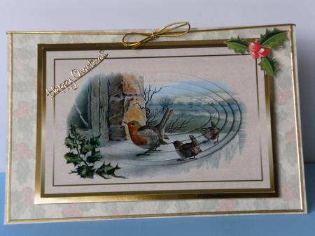 Christmas Robin Peeking in the Window by Rita Curtis