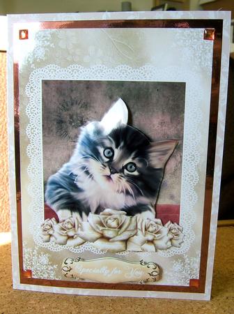 Kittens & Roses #2 A4 Card Front by Mrs K Lynn