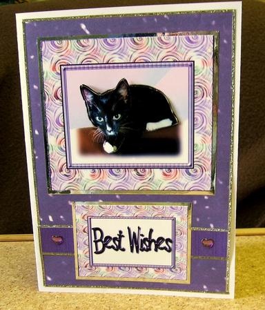 Little Black Cat by Mrs K Lynn