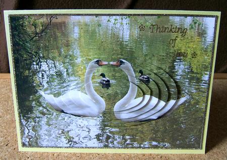 Swans & Ducks on Swan Lake Oval Pyramid Card by Mrs K Lynn