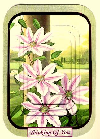 Clematis A6 Round Corner Toppers by Mrs K Lynn