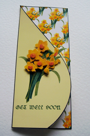 Daffodils Get Well Soon by Rose Smille