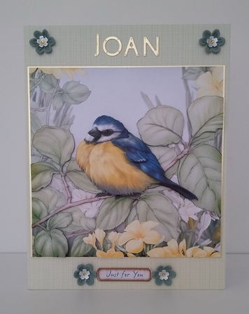Blue Tit 8x8 Quick Card by Roseanna Miles