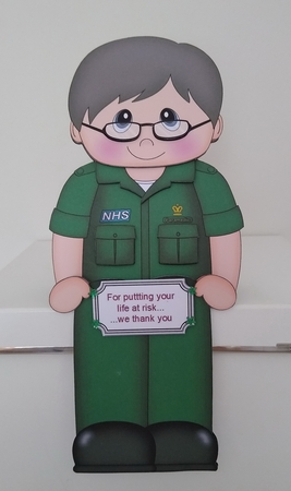 NHS Super Hero - 3D On the Shelf Card Kit by Roseanna Miles