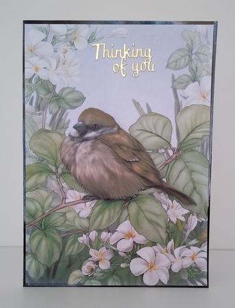 Sparrow A4 by Roseanna Miles