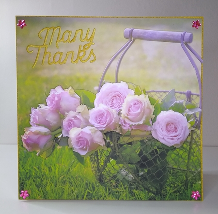 PINK ROSES by Roseanna Miles