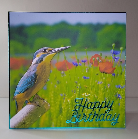 KINGFISHER by Roseanna Miles