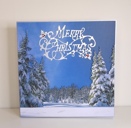 SNOWY TREES by Roseanna Miles