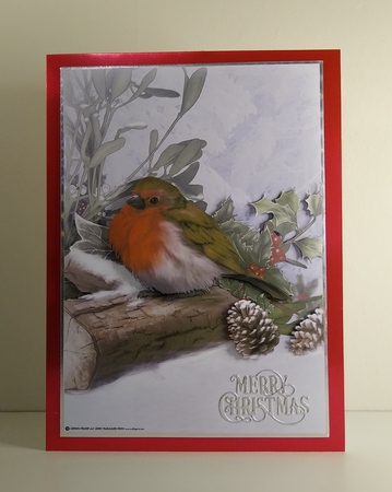 Snowy Robin A4 by Roseanna Miles