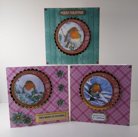 6 Robin in snowflake frame toppers by Roseanna Miles