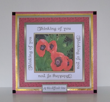 SC Big red poppies by Roseanna Miles