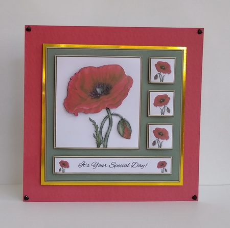 Lovely Poppies - Special Day (Green) by Roseanna Miles