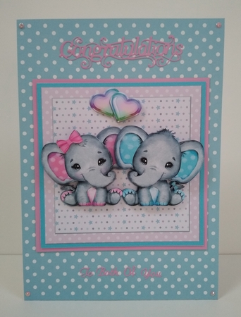 TWINS by Roseanna Miles