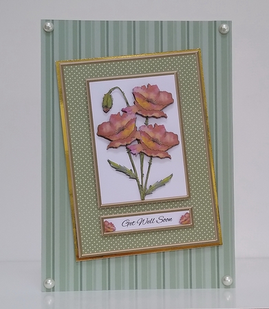 Lovely Poppies Get Well Topper (Card Three) by Roseanna Miles