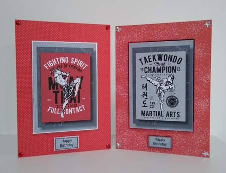 Retro Martial Arts A5 Poster Bumper Kit by Roseanna Miles