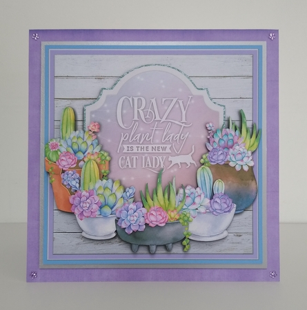 CRAZY PLANT LADY mini kit by Roseanna Miles