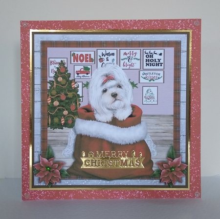 CHRISTMAS PUPPY - MALTESE - quick card by Roseanna Miles