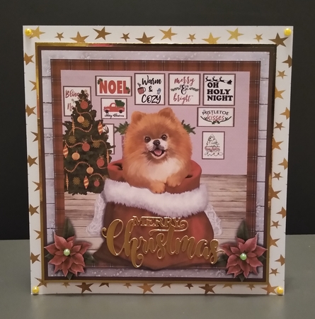 CHRISTMAS PUPPY - BROWN POMERANIAN - quick card by Roseanna Miles