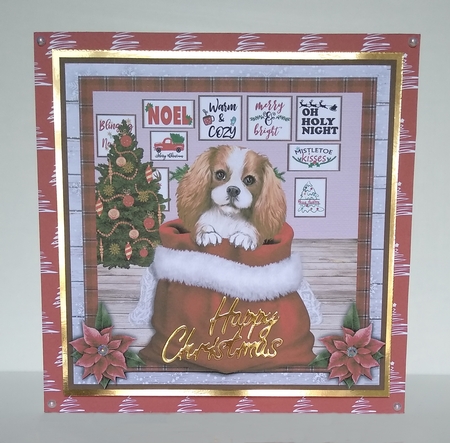 CHRISTMAS PUPPY - SPANIEL - quick card by Roseanna Miles