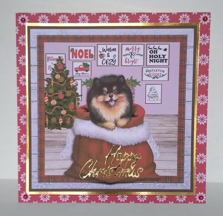 CHRISTMAS PUPPY - POMERANIAN 2 - quick card by Roseanna Miles