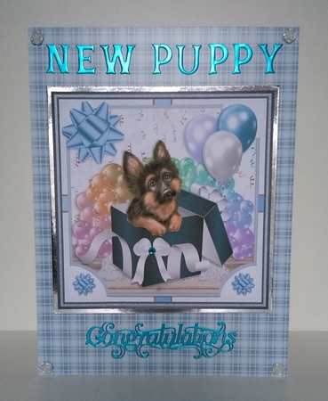GERMAN SHEPHERD - GIFT BOX PUPPY by Roseanna Miles