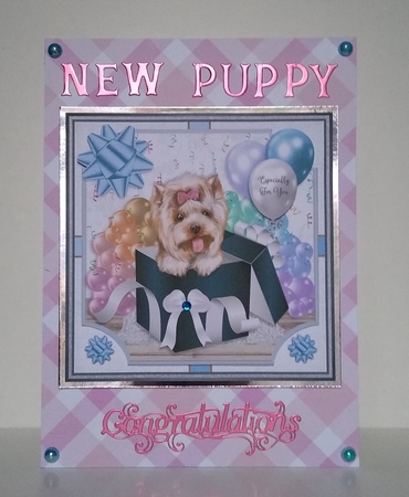 YORKIE - GIFT BOX PUPPY by Roseanna Miles