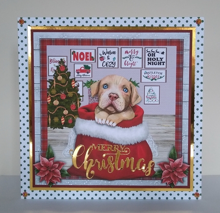 CHRISTMAS PITBULL  quick card by Roseanna Miles