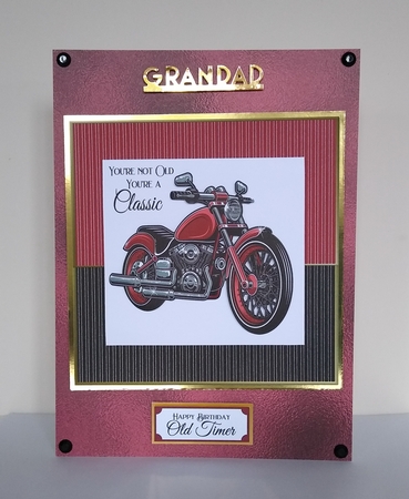 OLD TIMER by Roseanna Miles