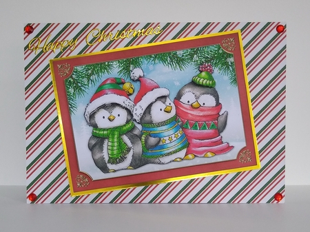 Cute Penguin Trio (Red) by Roseanna Miles