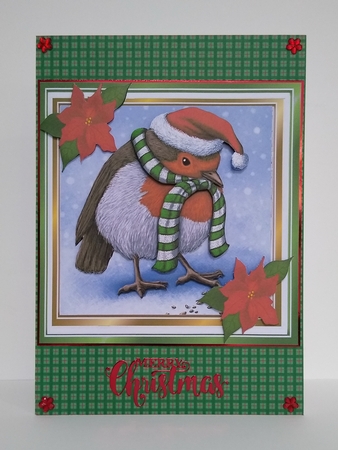 Lovely Robin in santa hat with poinsettias 8x8 by Roseanna Miles