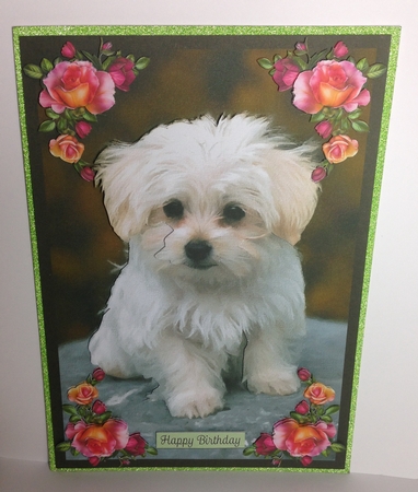 Cute Puppy A4 by Roseanna Miles