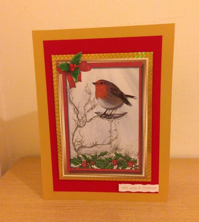 Beautiful Robin on the Drinking Bath ,with Verse . by Roseanna Miles