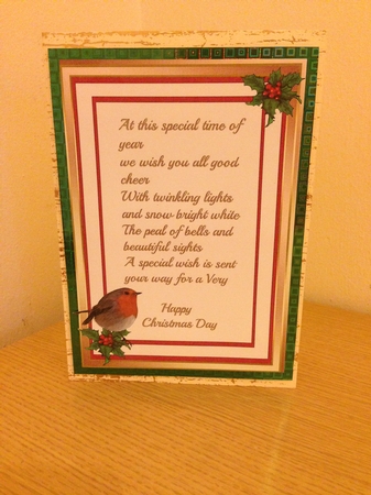 Beautiful Robin on the Drinking Bath ,with Verse . by Roseanna Miles