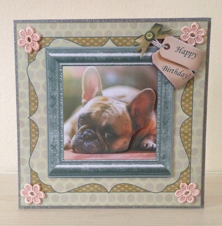 FRENCH BULL DOG SLEEPY 2 GET WELL/BIRTHDAY by Roseanna Miles