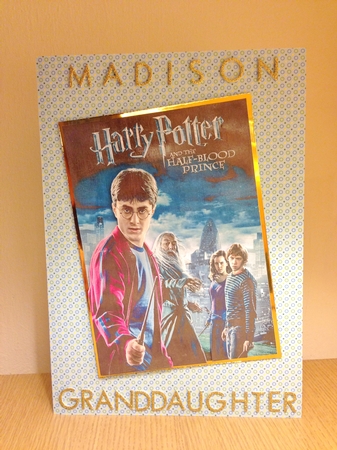 Harry Potter 2 A5 Quick Card by Roseanna Miles