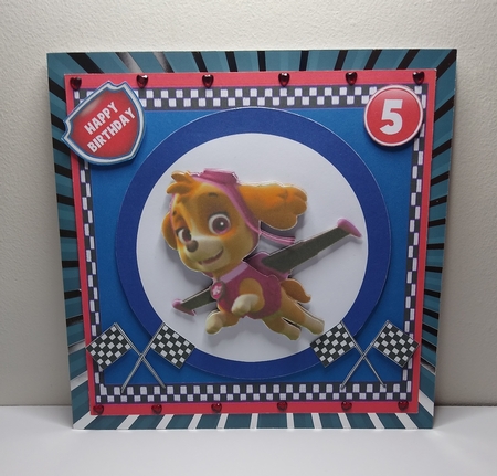 Racing Pouch 6 Mini Kit by Roseanna Miles