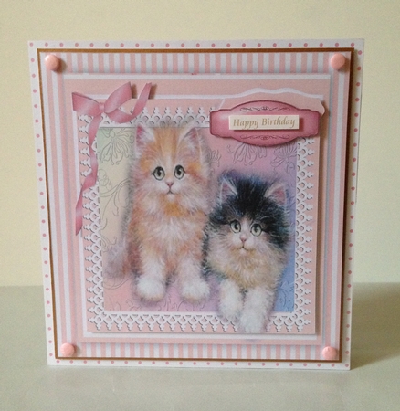 Beautiful Kittens on a Striped Mat by Roseanna Miles