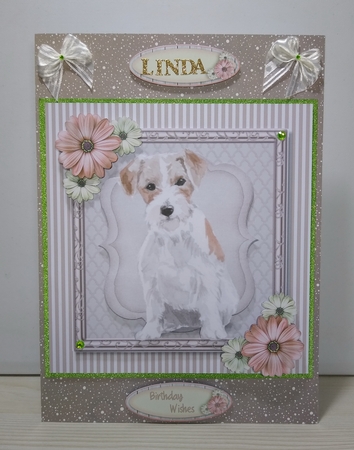 Beautiful  Wire Haired Jack Russell by Roseanna Miles